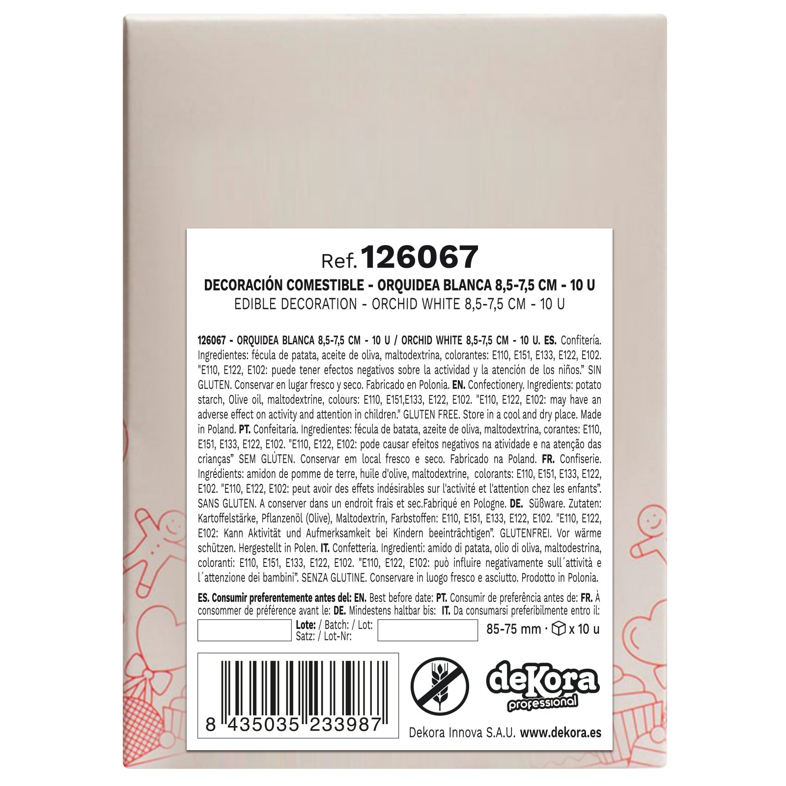 ORCHIDEA CIALDA BIANCA 8.5 -7.5 CM 10pezzi