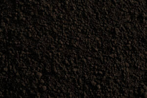 COLORANTE LIPOSOLUBILE NERO IN POLVERE AZF 25g