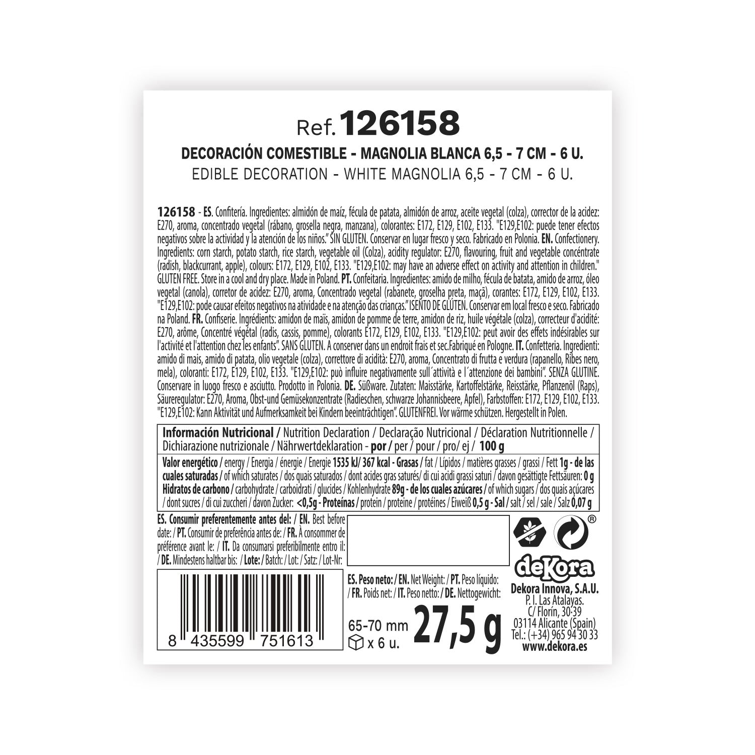 MAGNOLIA CIALDA BIANCA 6,5-7CM