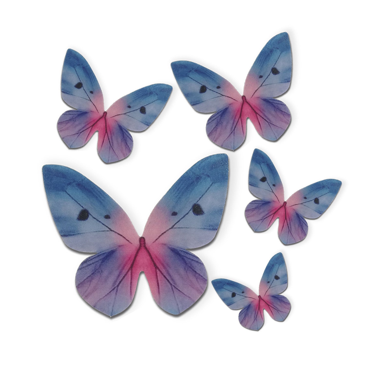 FARFALLE CIALDA TONI BLU 3-6CM 79pezzi