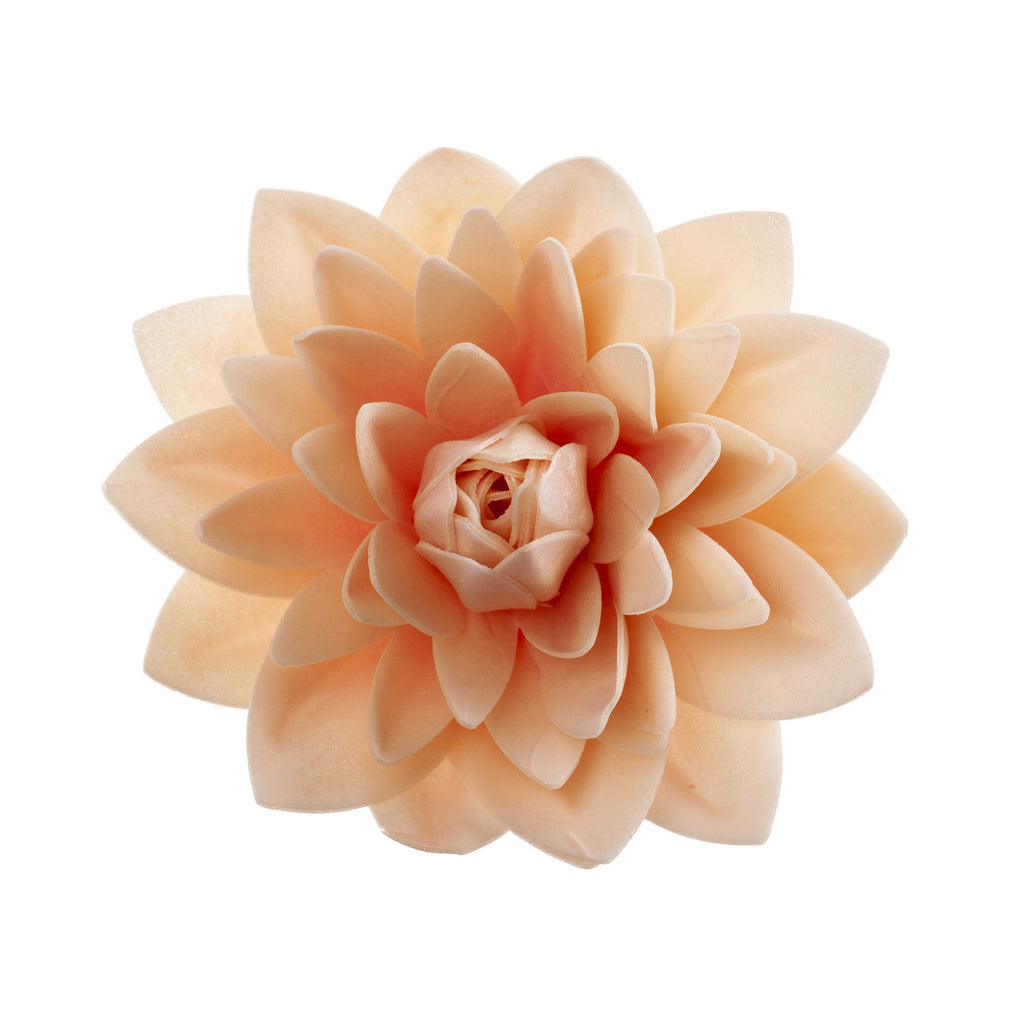 DAHLIA GIGANTE IN CIALDA COLORE PASTELLO  12,5CM