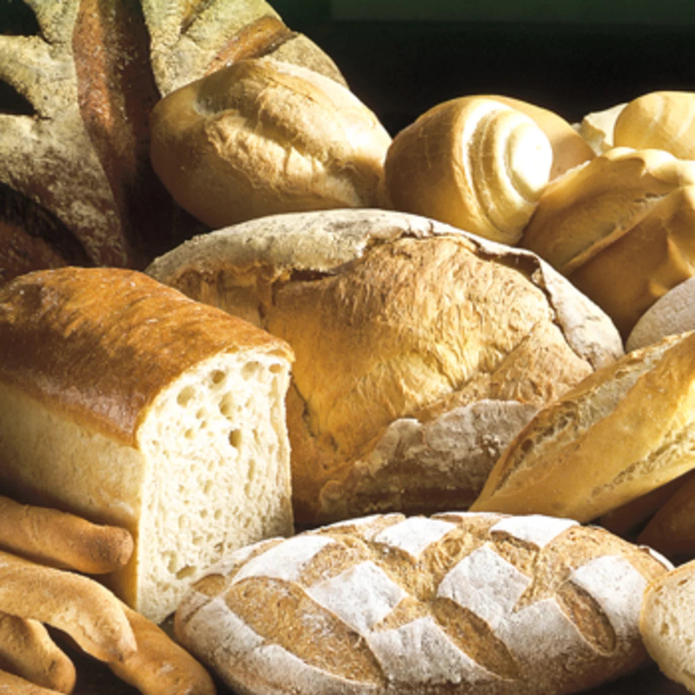 Natur Activ 1 Kg - Irca