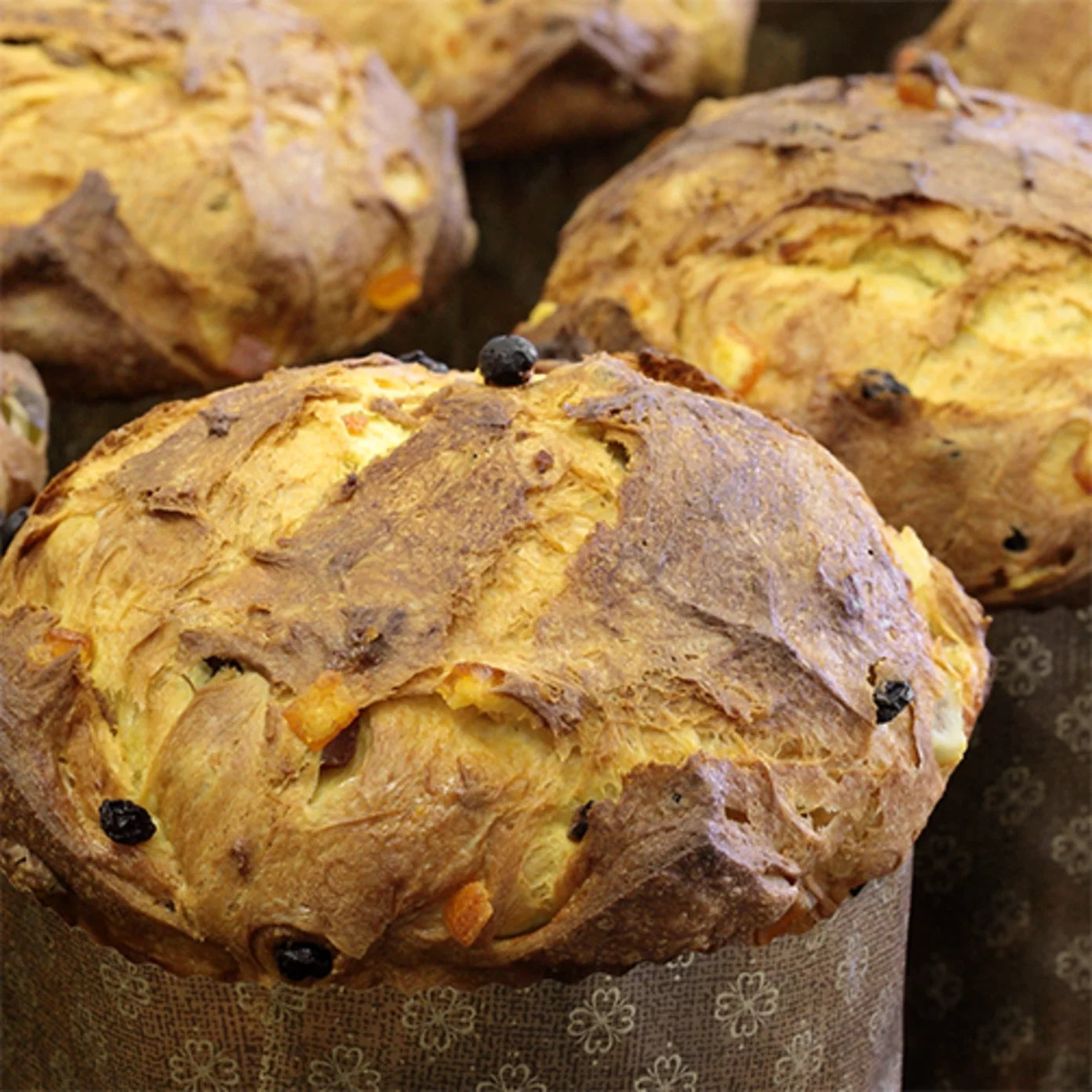 Dolce Forno 25 Kg - Irca