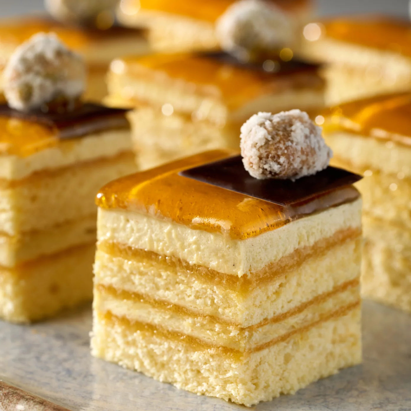 Vegan Biscuit - Irca