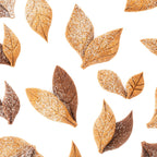 Stampo in silicone Foglia - Silikomart