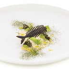 Stampo in silicone Lisca di Pesca - Silikomart