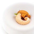 Polpo 20 - Silikomart