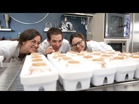 Foresta & ananas 110 Stampo in silicone + supporto - Silikomart